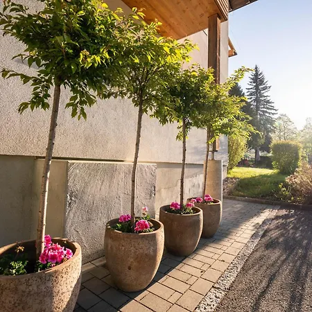 Ludwig Marchner Apartment Maria Alm am Steinernen Meer