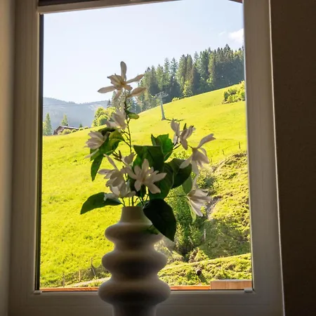 Ludwig Marchner Apartment Maria Alm am Steinernen Meer