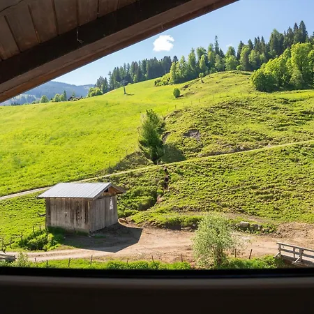 Apartment Ludwig Marchner Maria Alm am Steinernen Meer