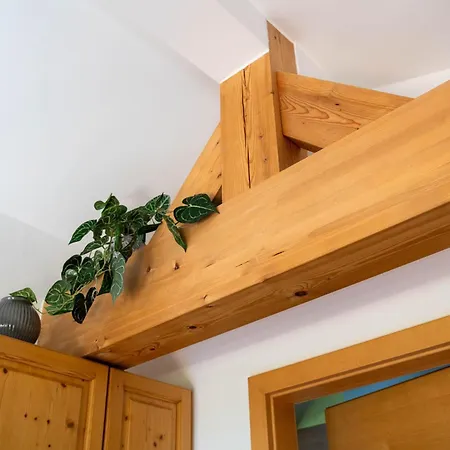 Ludwig Marchner Apartment *
