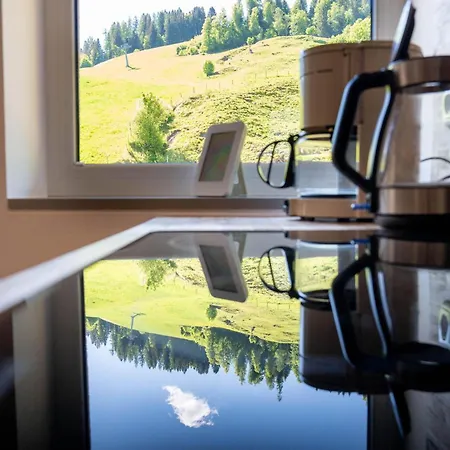 Apartment Ludwig Marchner Maria Alm am Steinernen Meer